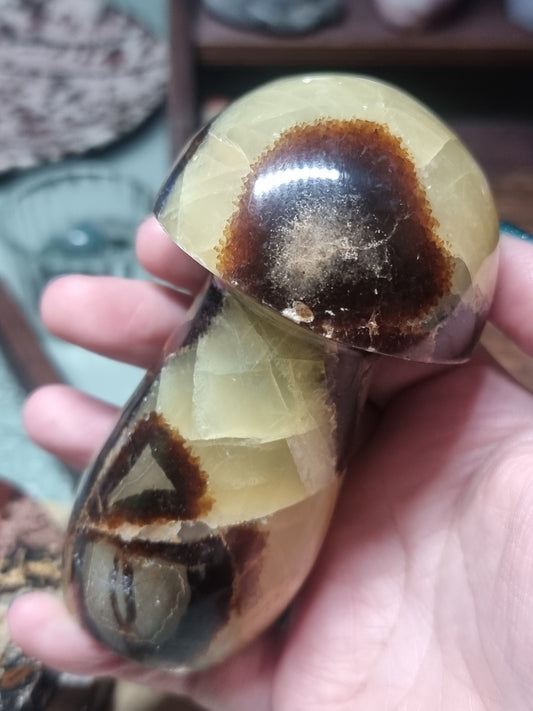 Septarian mushrooms