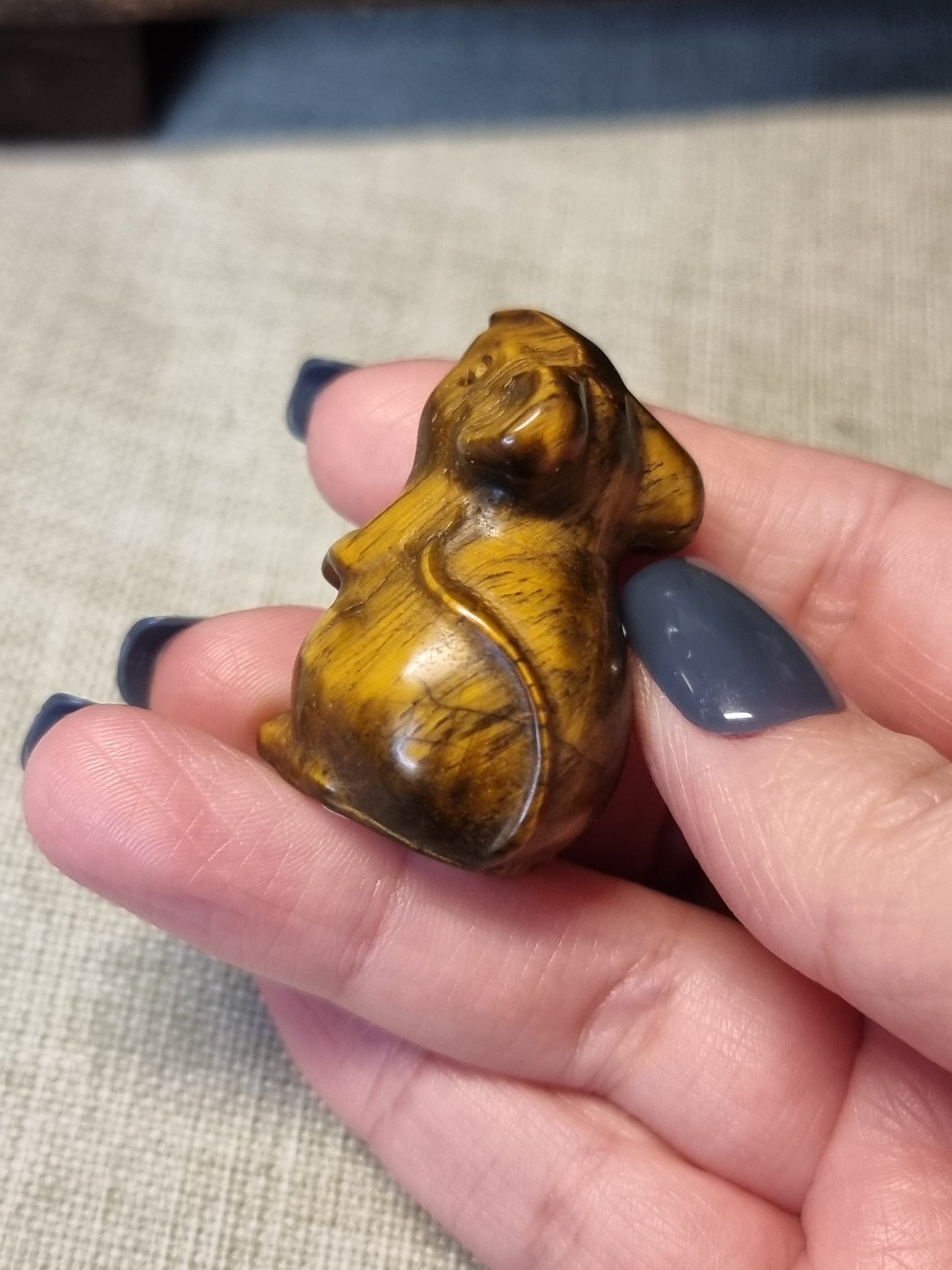 Tigers eye mouse