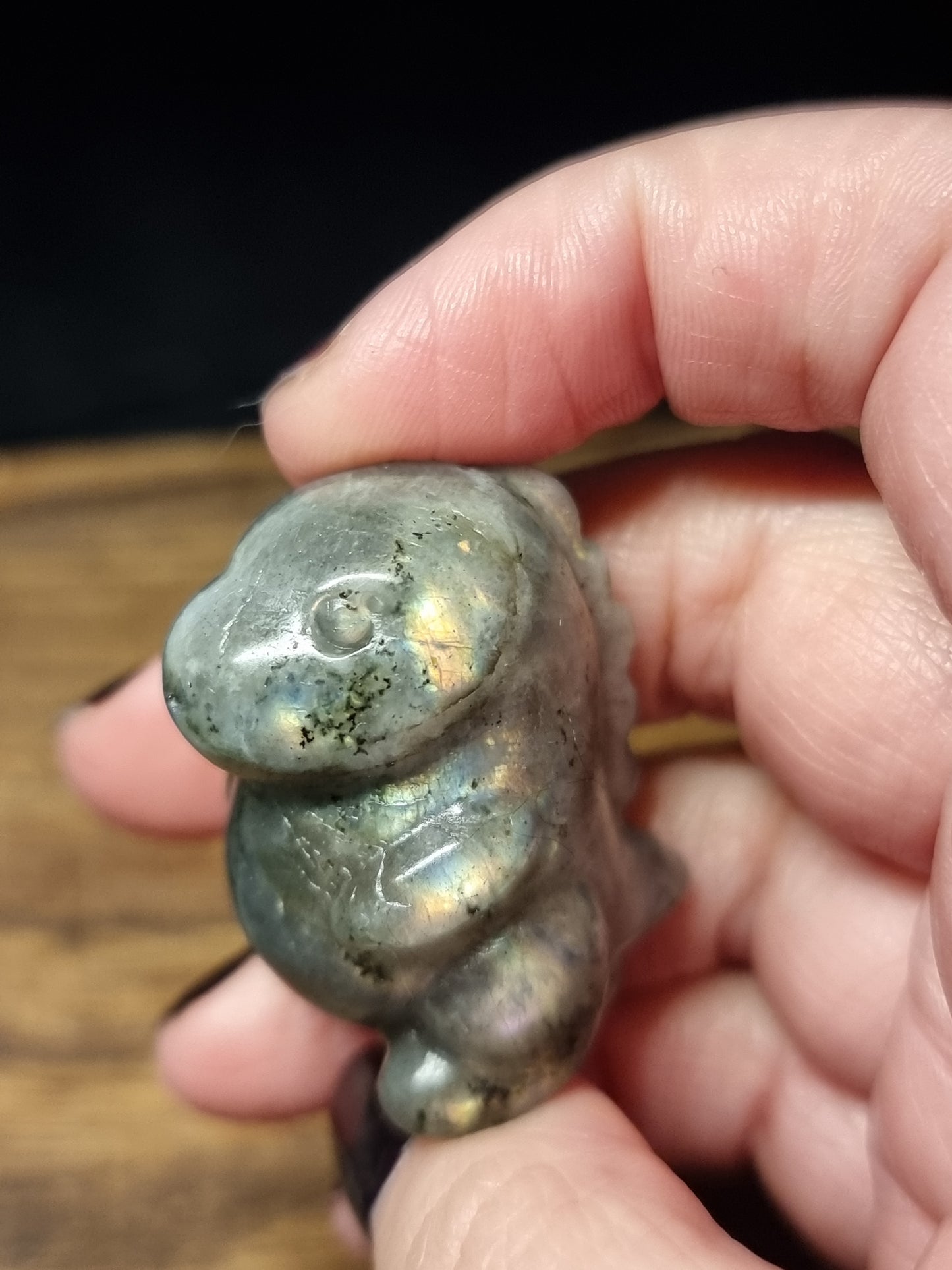 Chubby dino carvings
