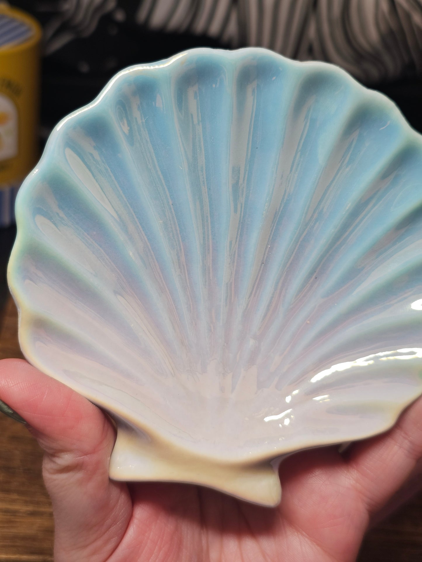 Iridescent shell trinket dish