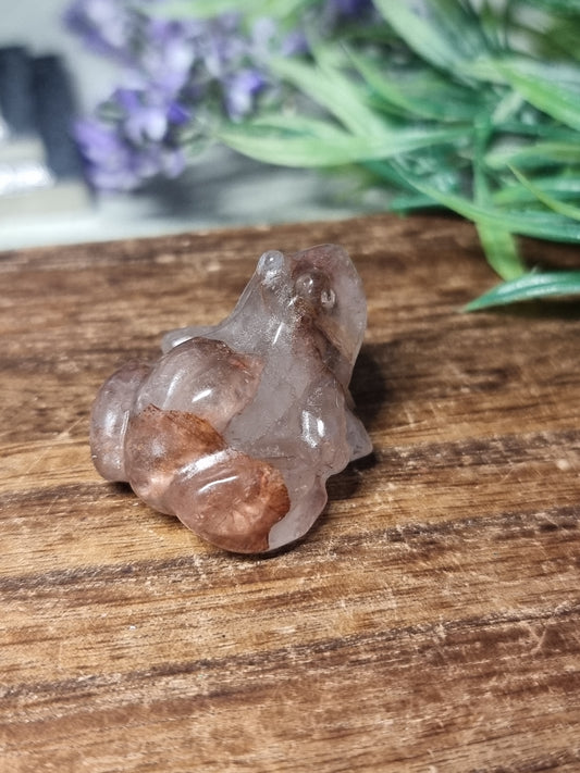 Fire quartz frog