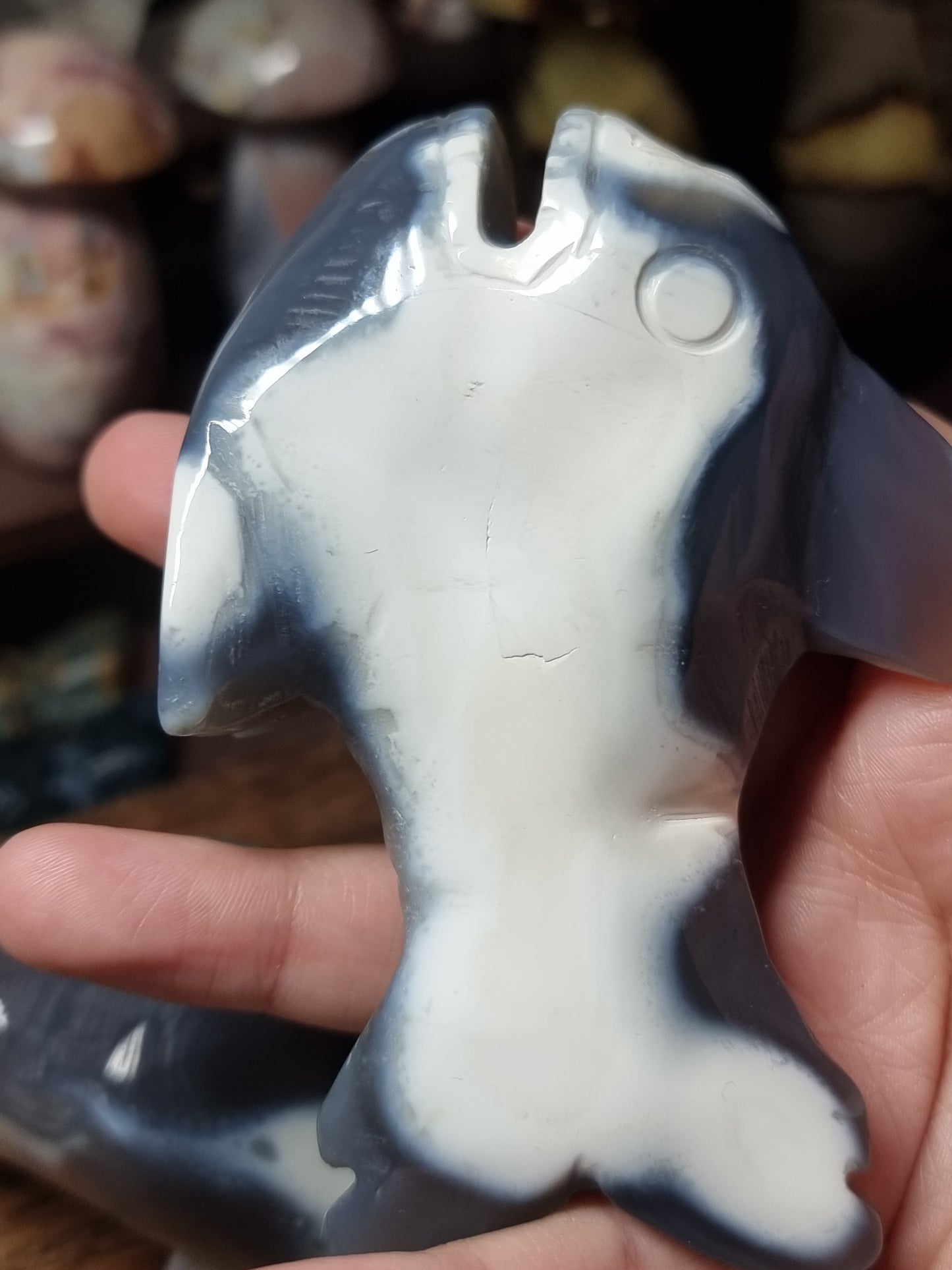 Orca agate sharks