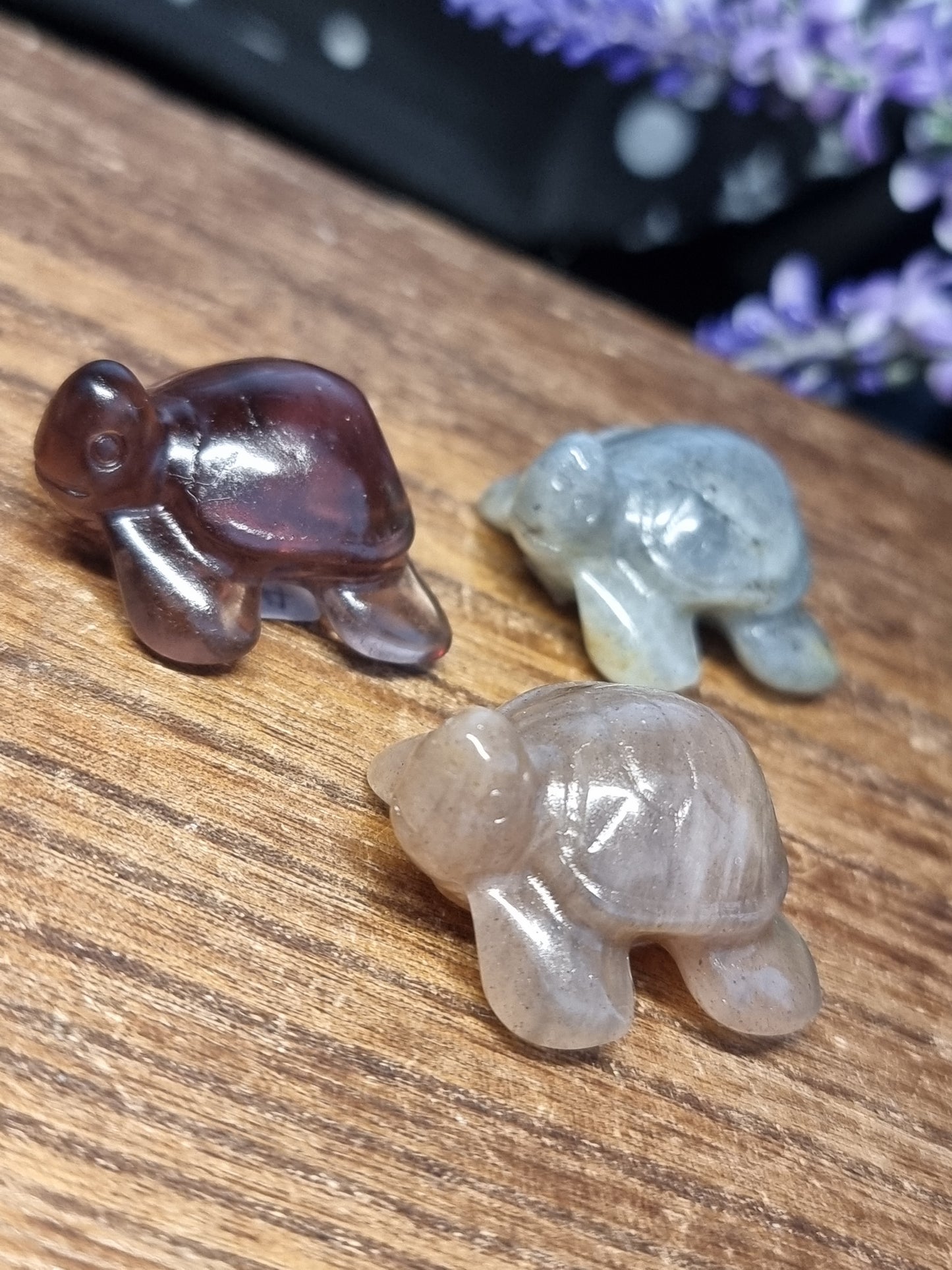 Turtle carvings