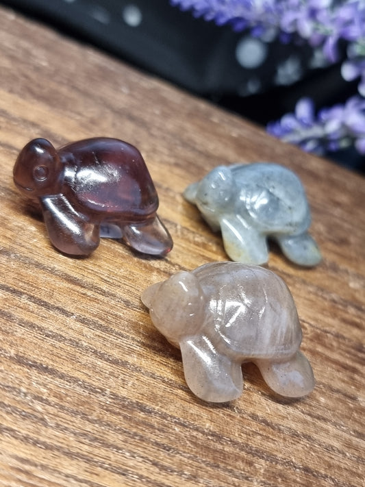 Turtle carvings