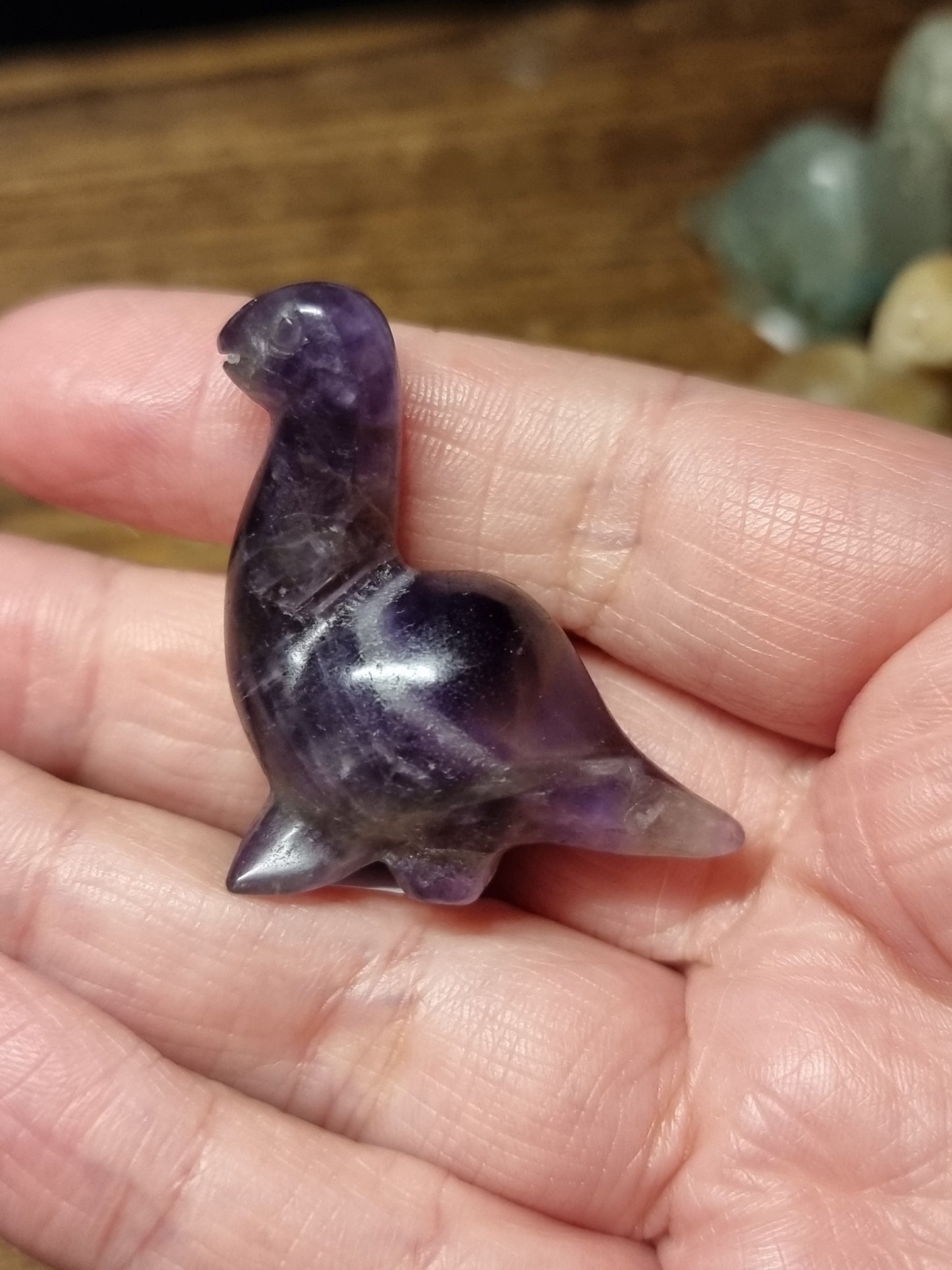 Dinosaur carvings