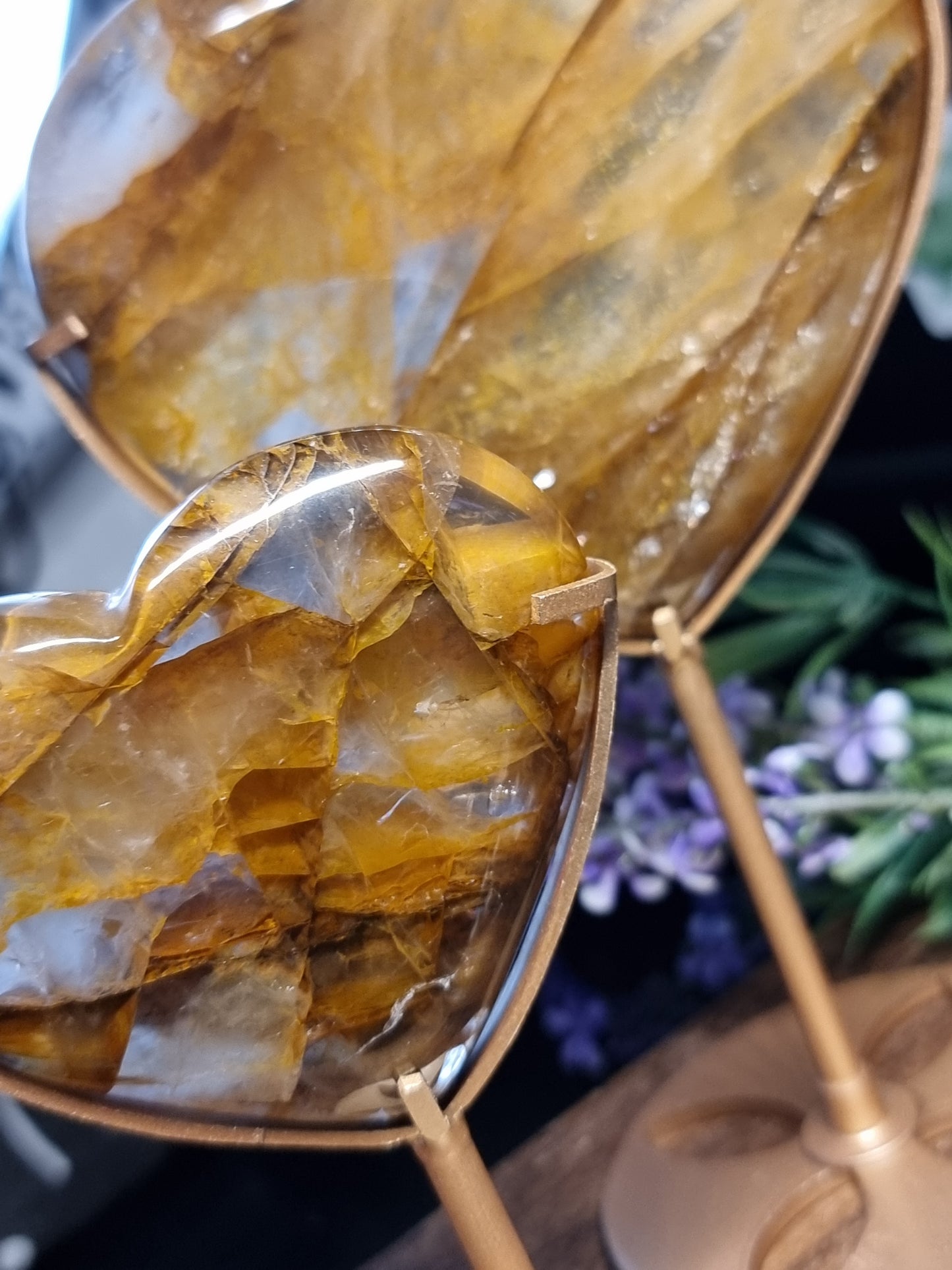 High quality golden healer hearts