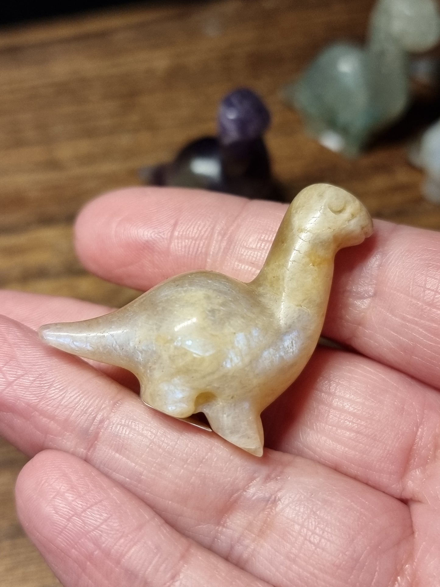 Dinosaur carvings