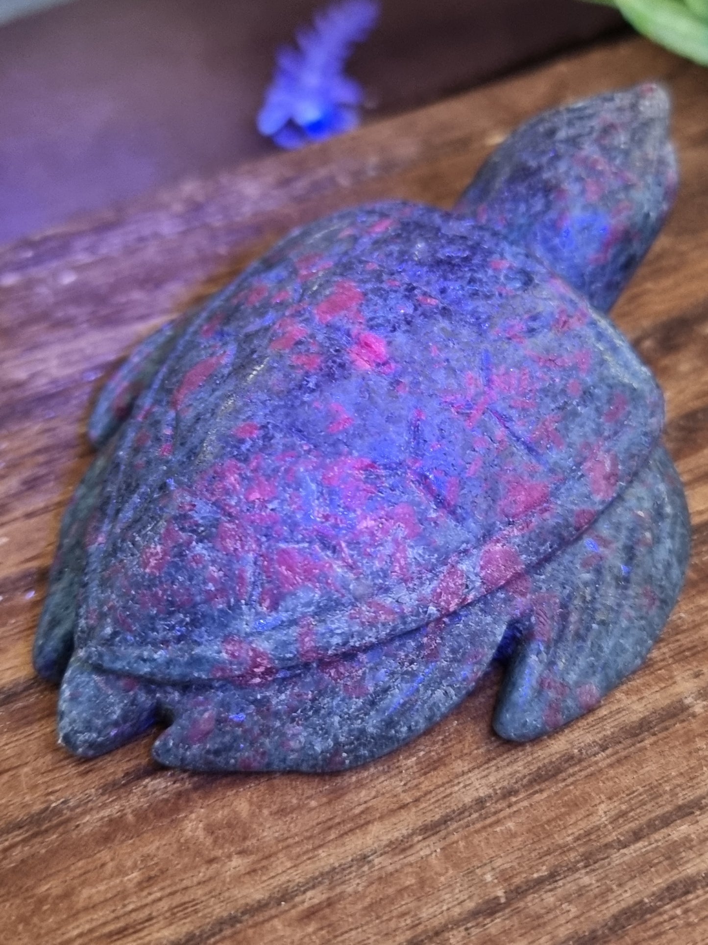 Ruby kyanite turtle