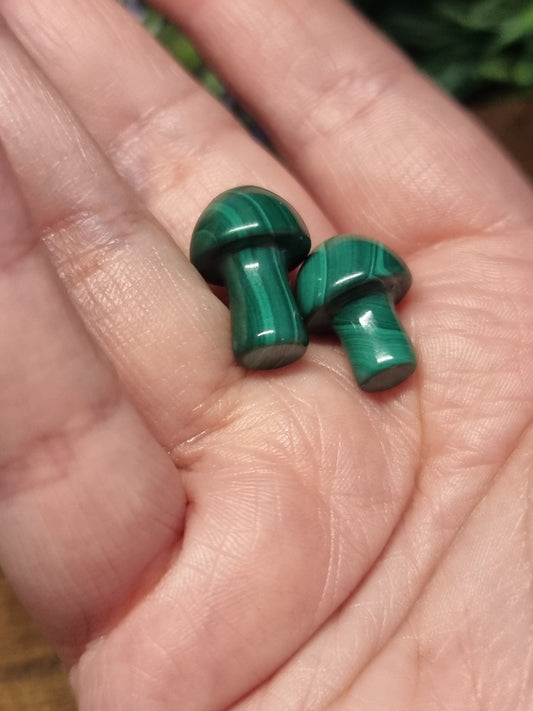 Malachite mini mushrooms