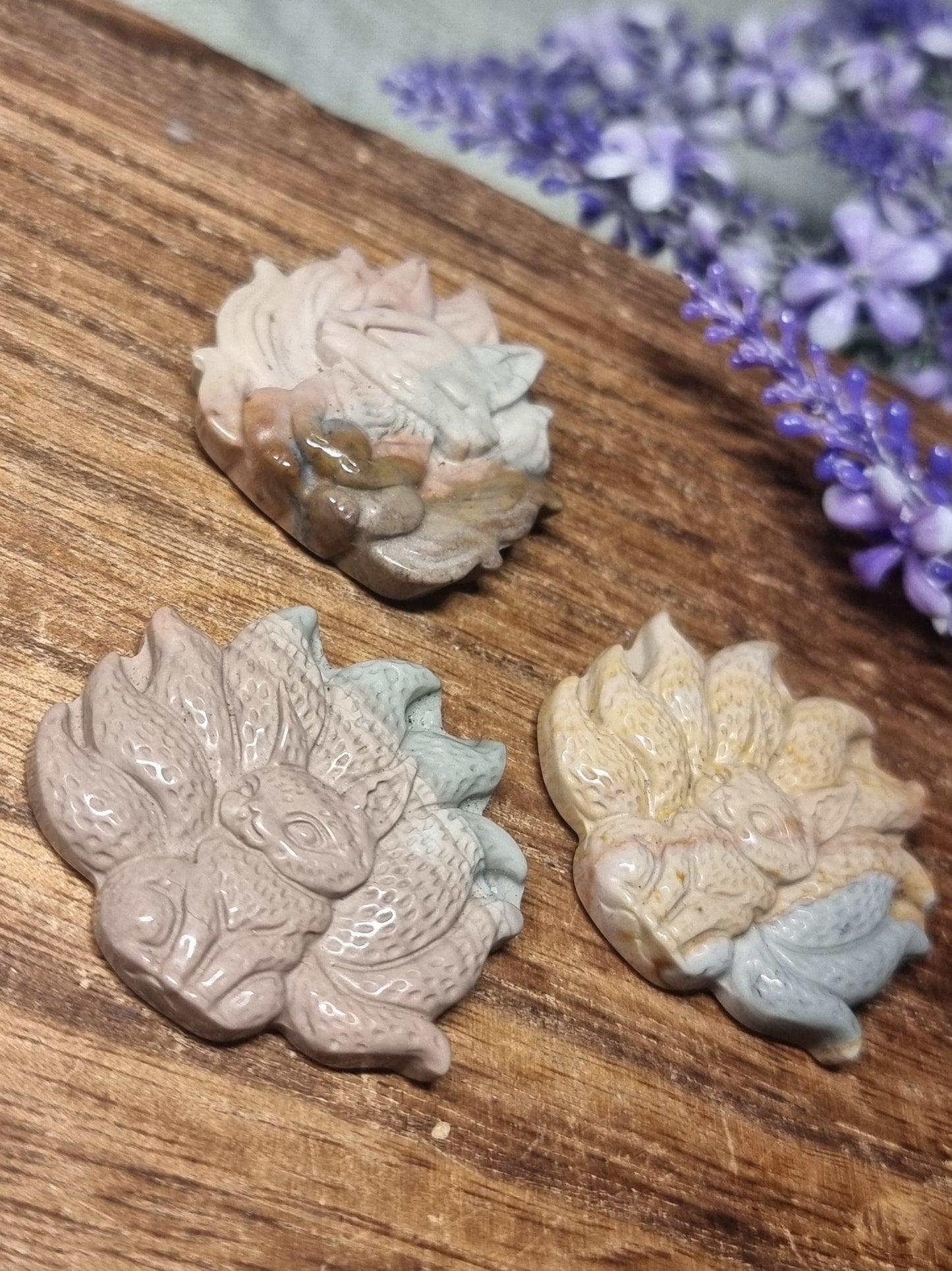 Wild horse picture jasper 9 tail foxes