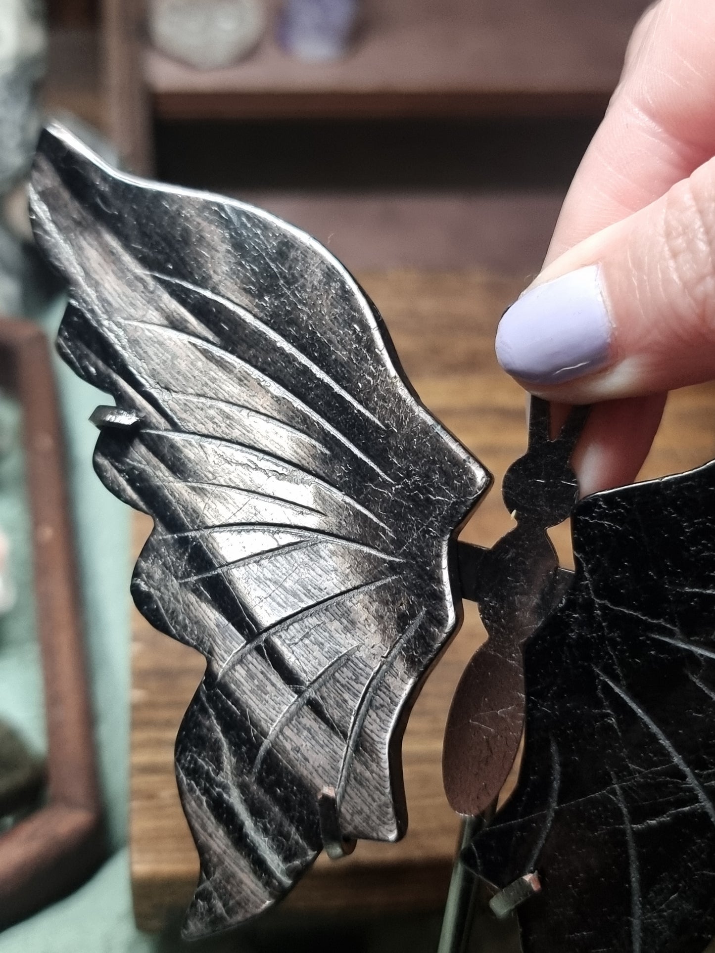 Hypersthene butterfly wings