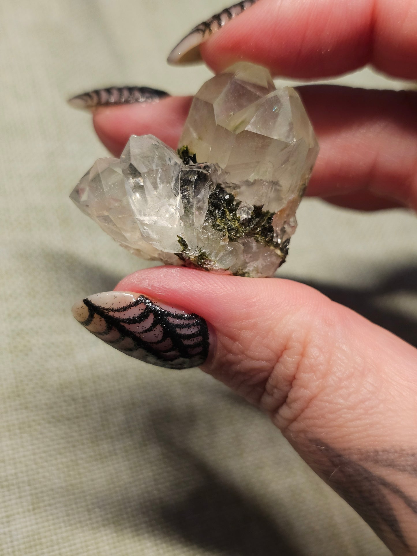 Forest Quartz specimens