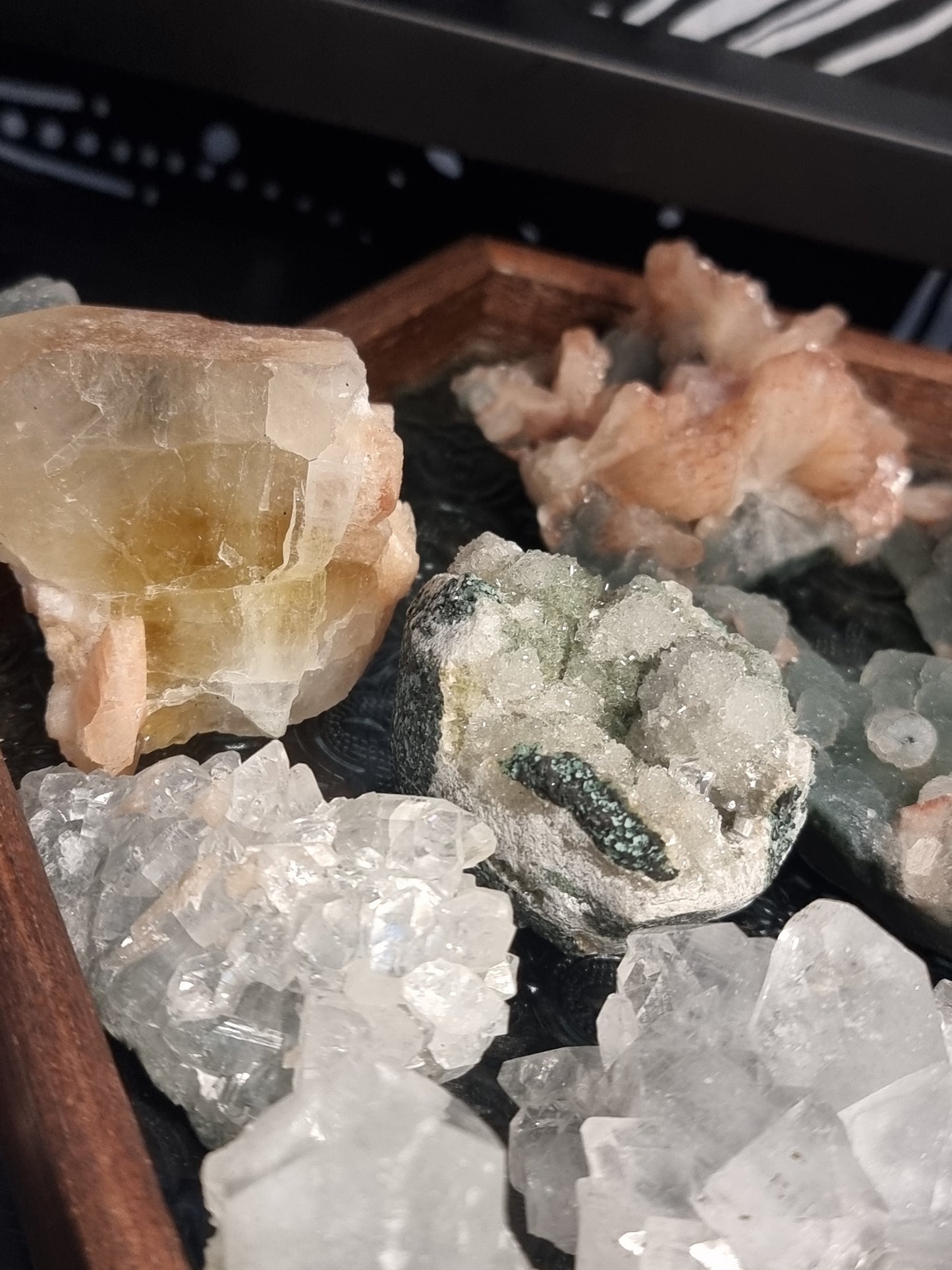 Specimen mystery box