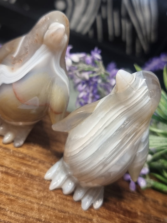 Agate penguins
