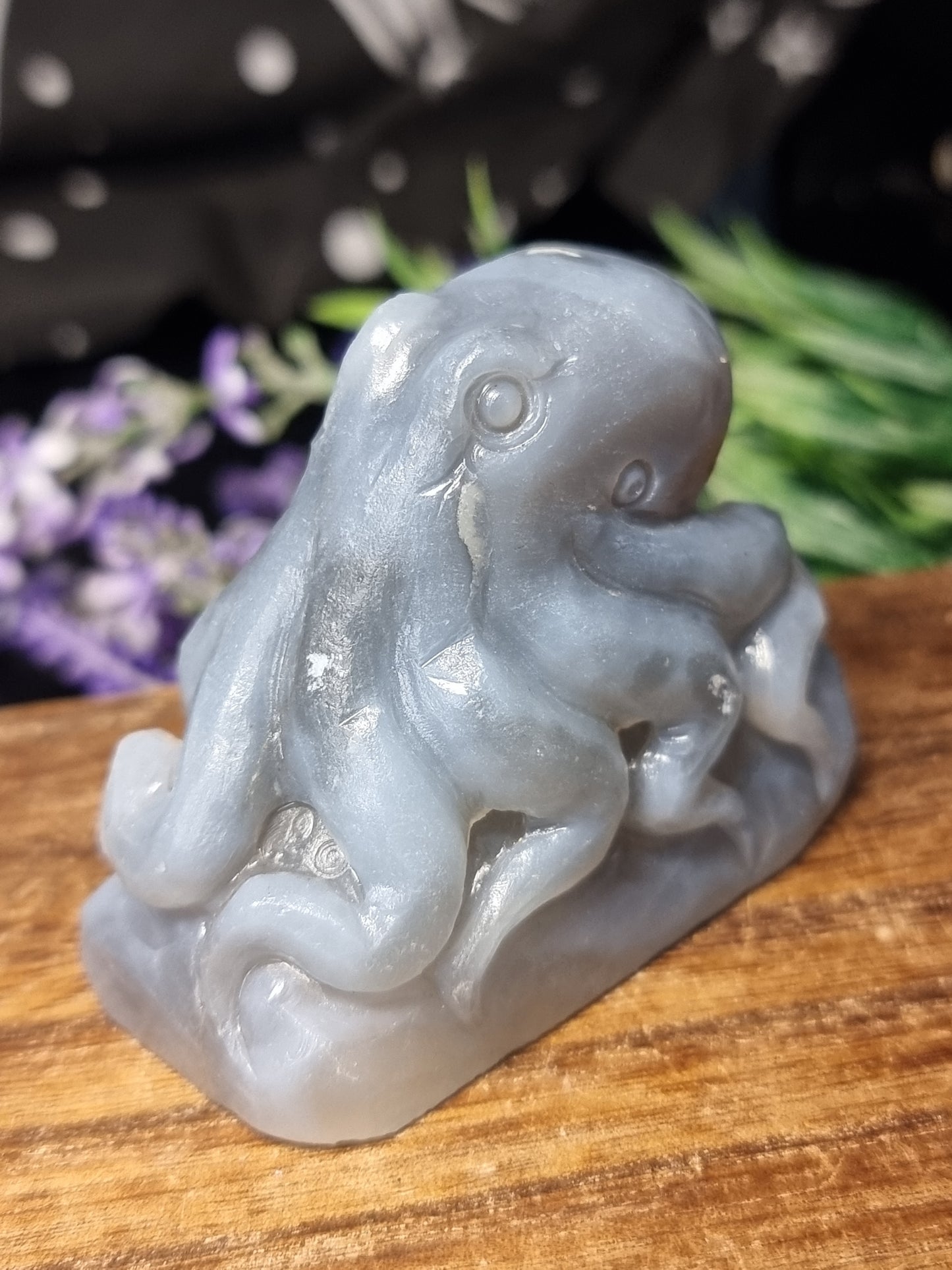 Agate octopus