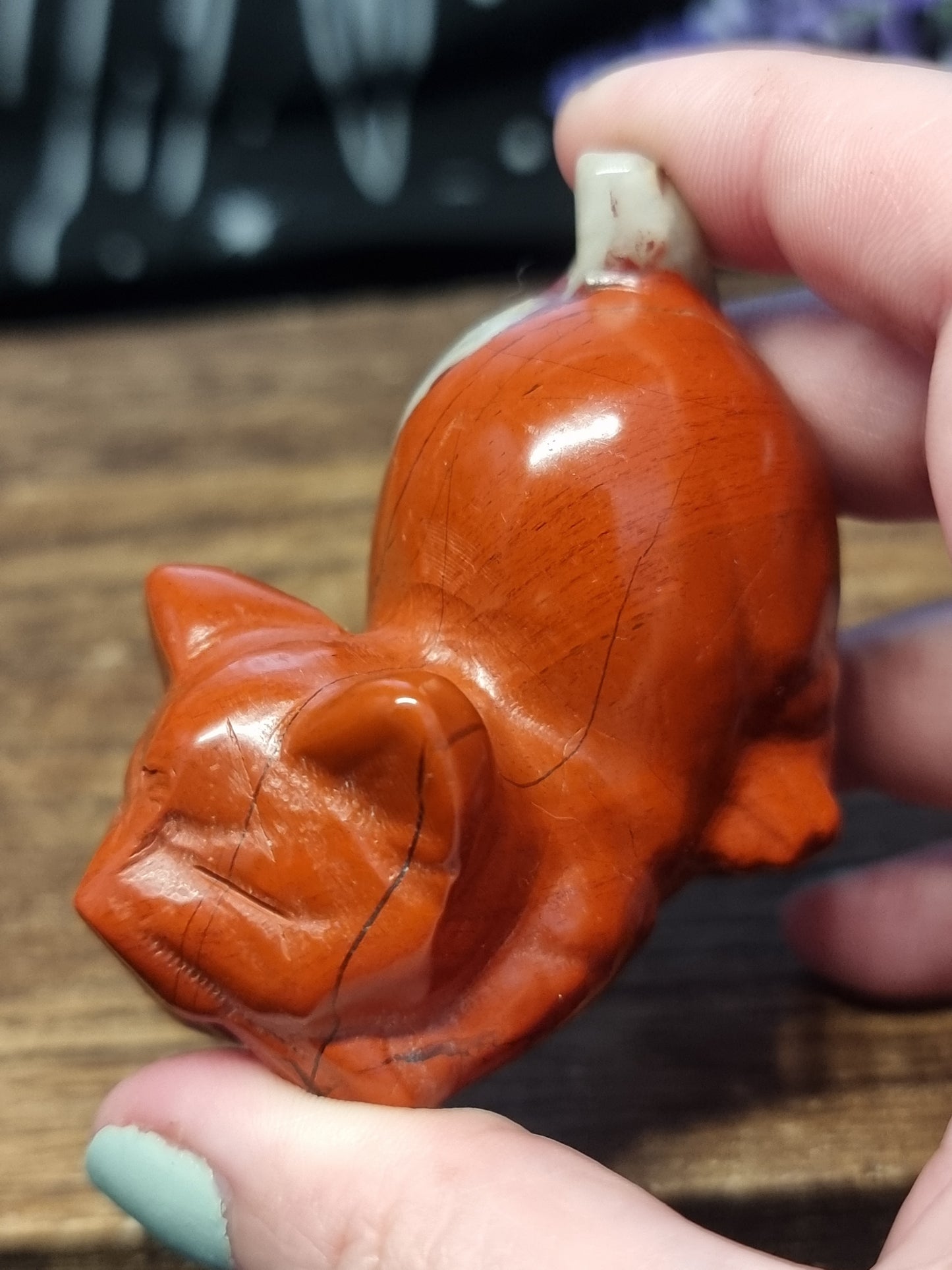 Red jasper cat