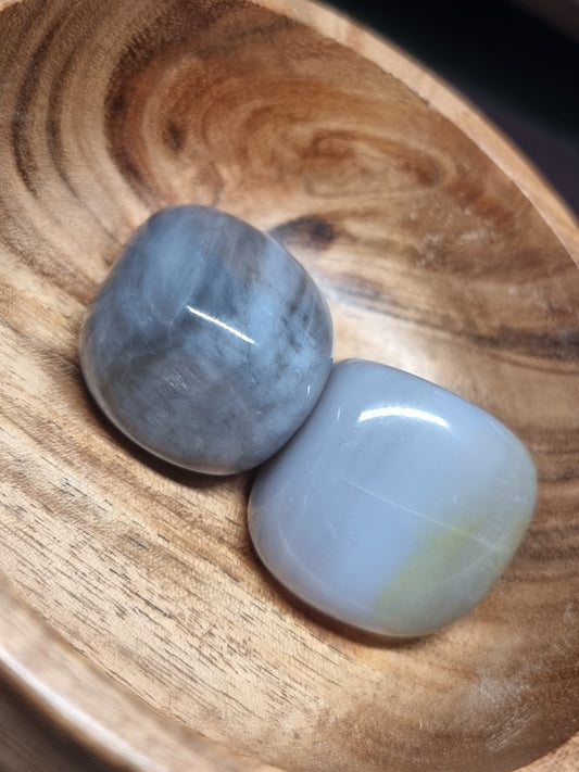 Xl petrified wood tumblestones