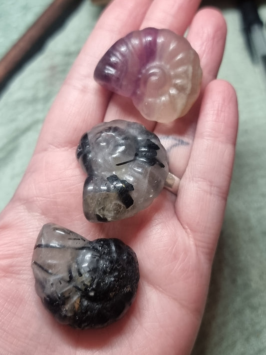 Ammonite carvings