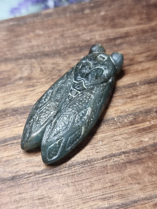 Labradorite cicada