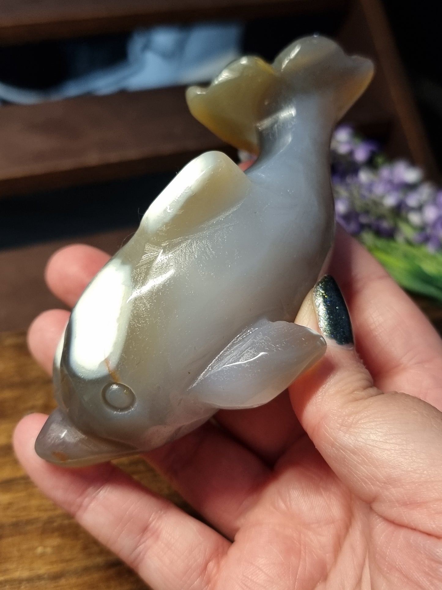 Orca agate dolphin