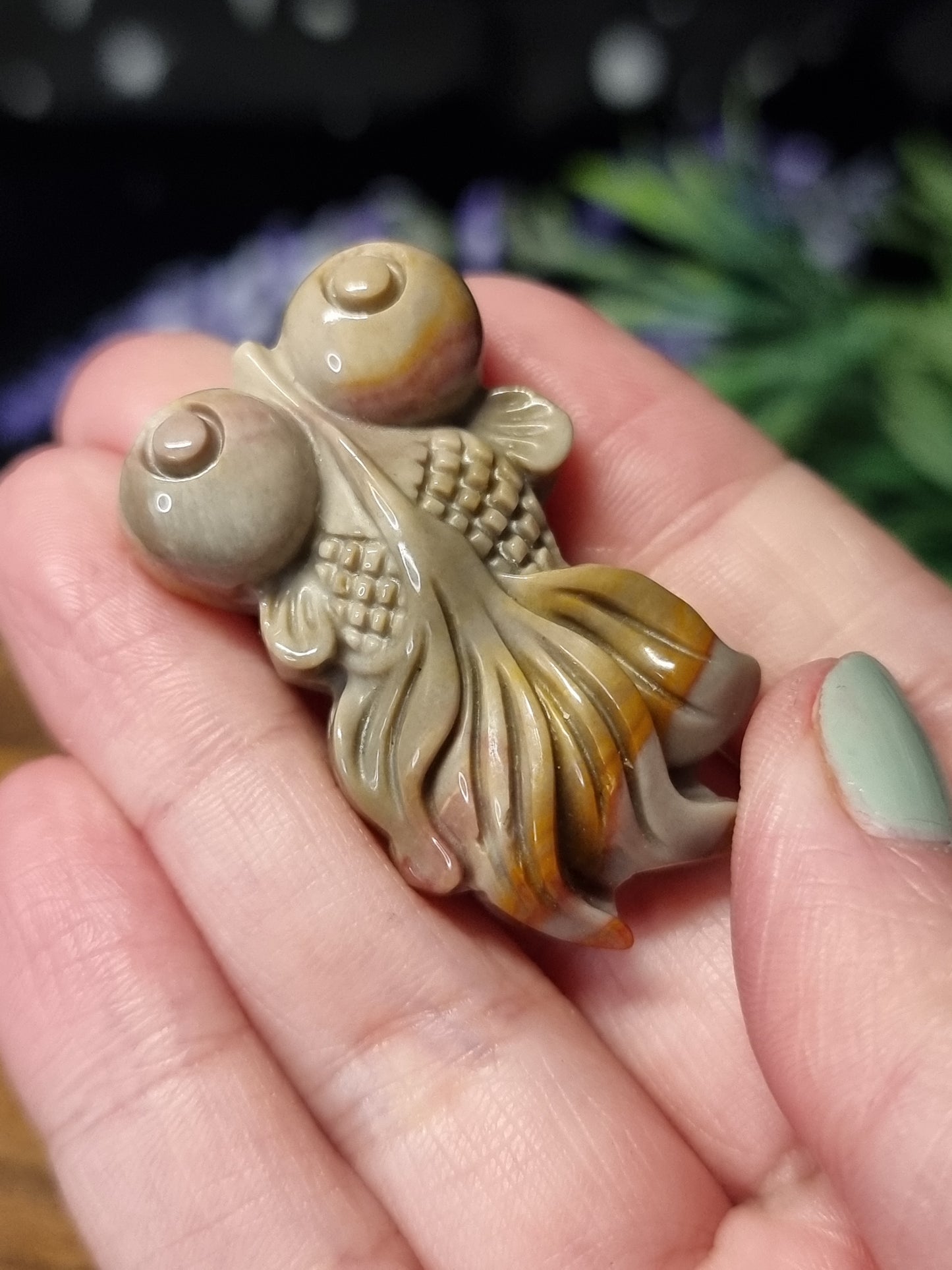 Wild horse picture jasper fish