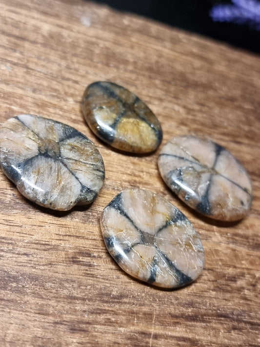 Chiastolite mini flatstones