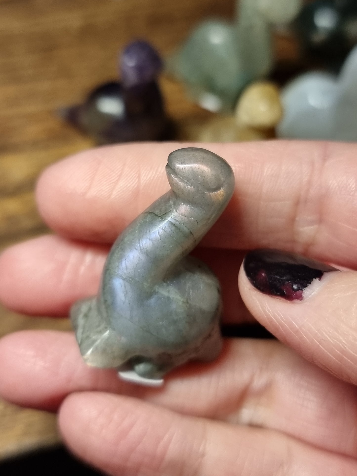 Dinosaur carvings