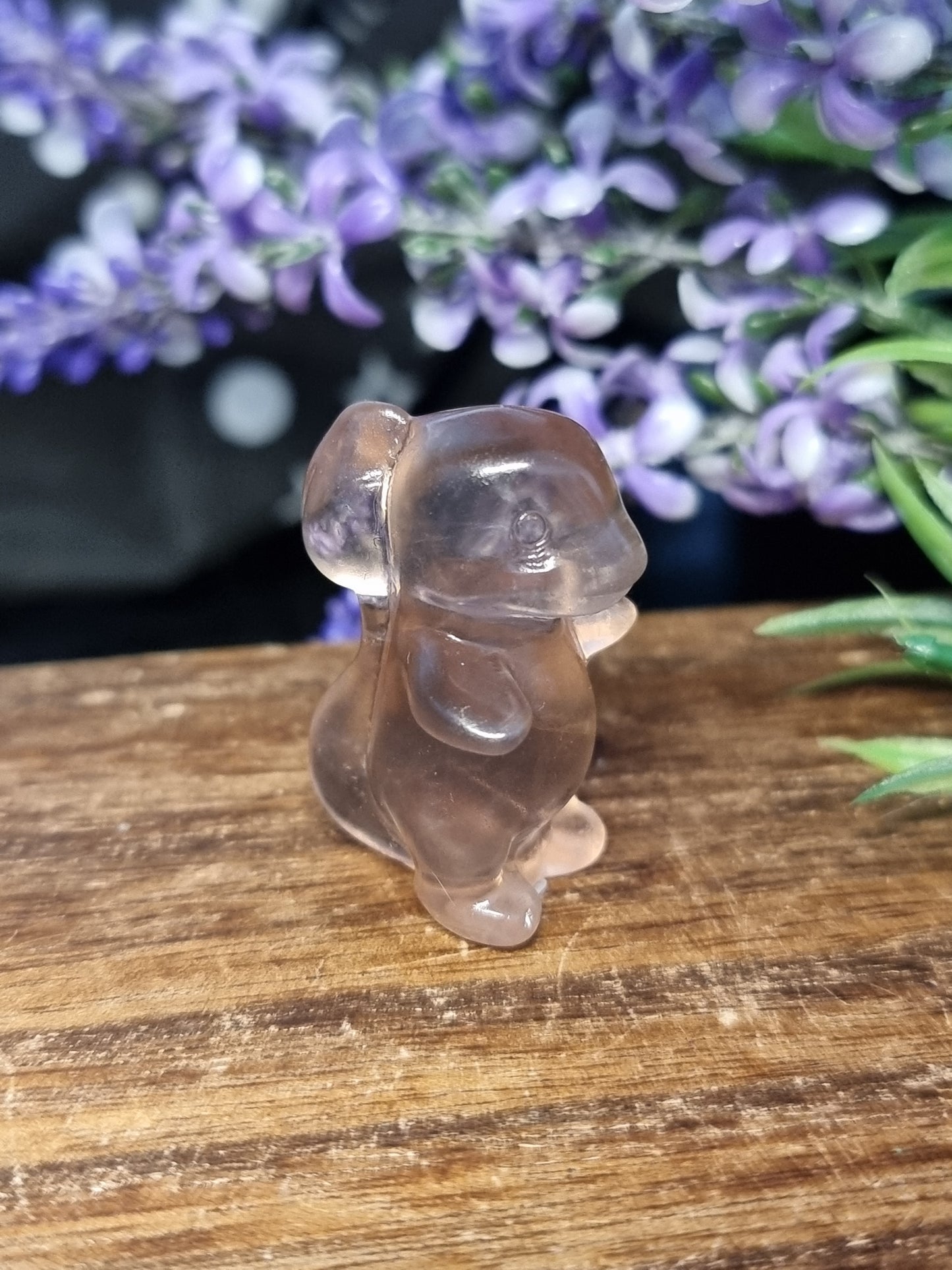 Fluorite charmander