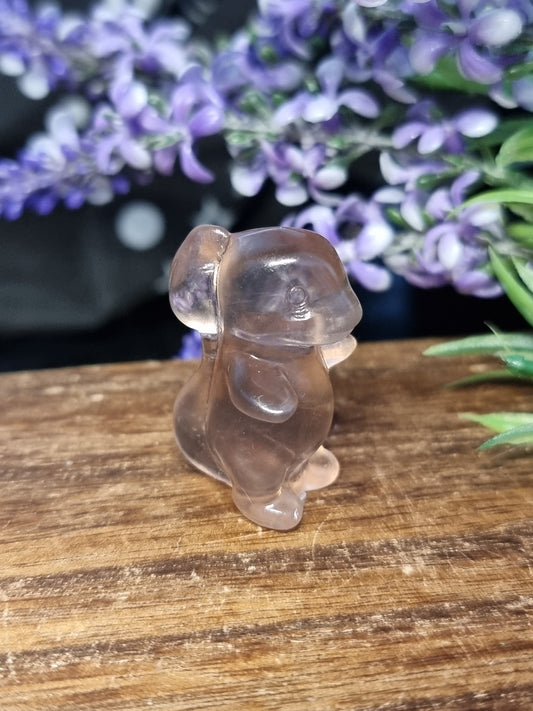 Fluorite charmander