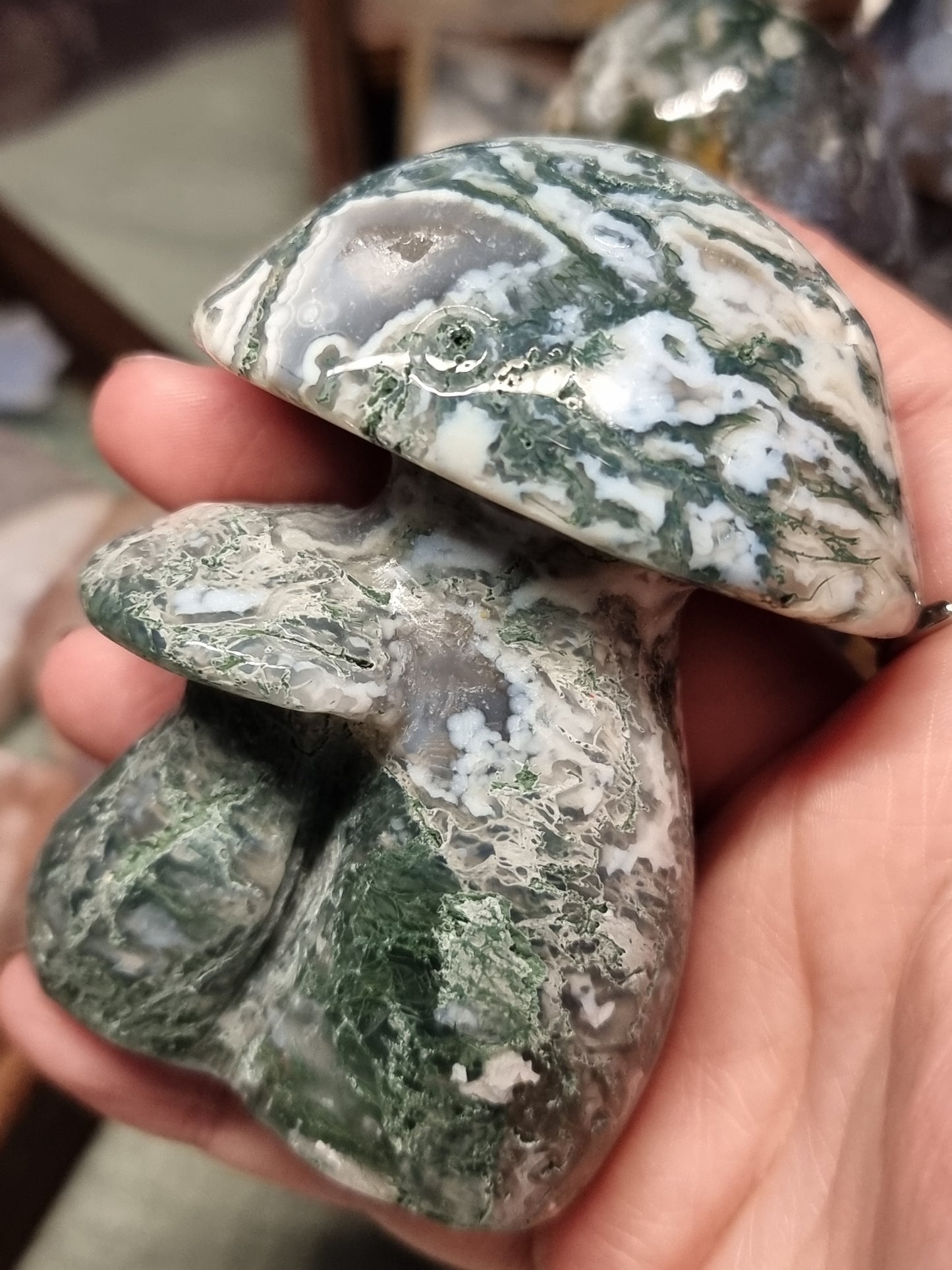 Moss agate mushrooms