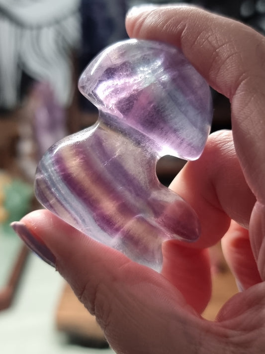 Fluorite mushrooms