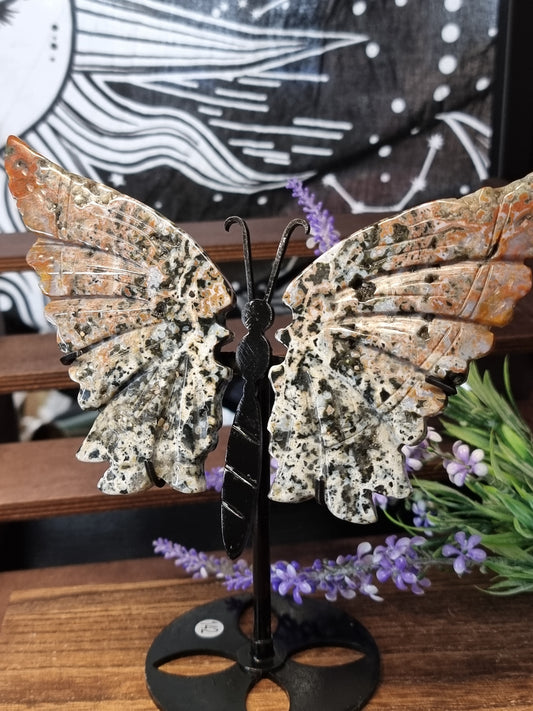 Cosmic ocean jasper butterfly wings