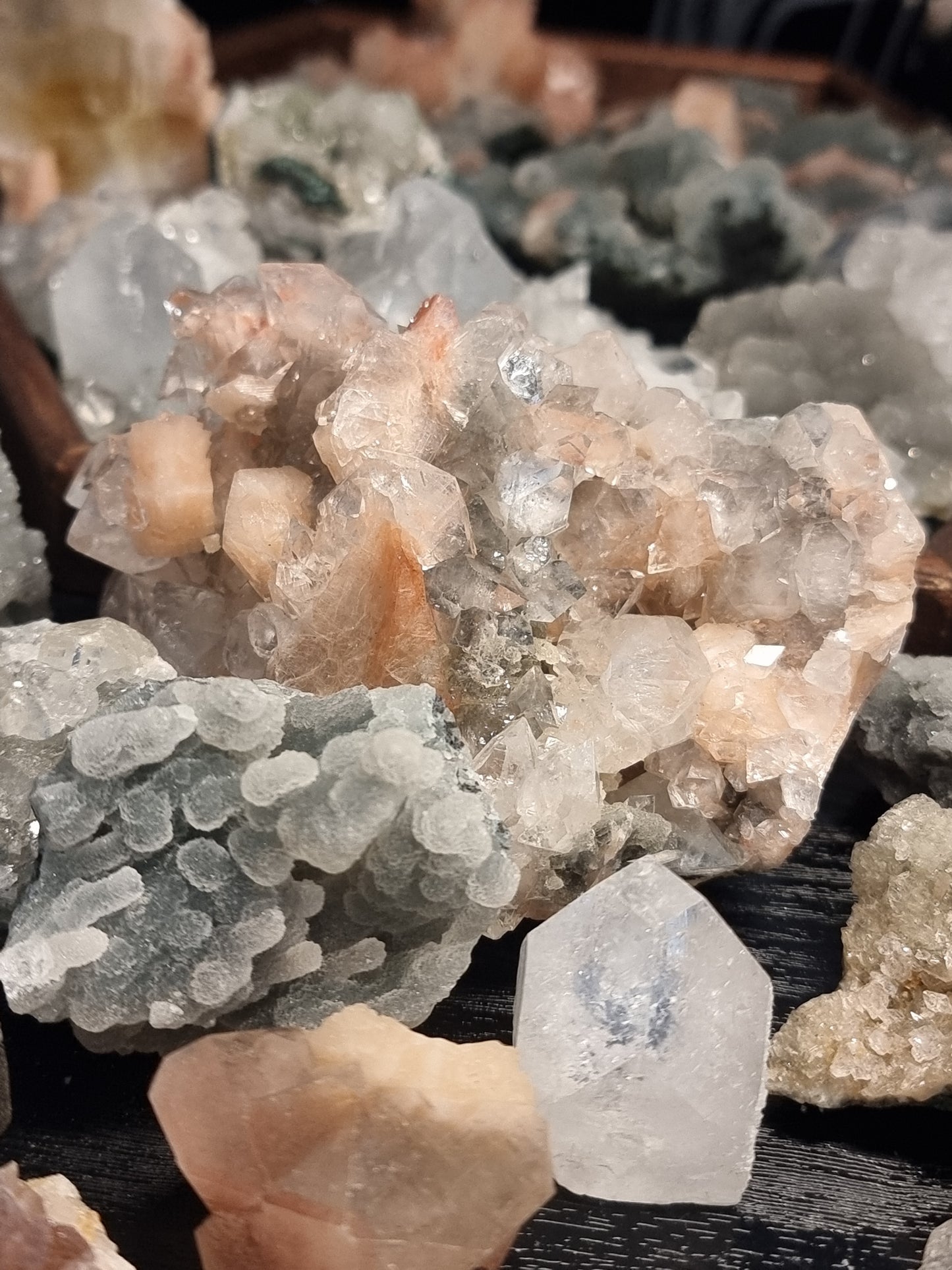 Specimen mystery box