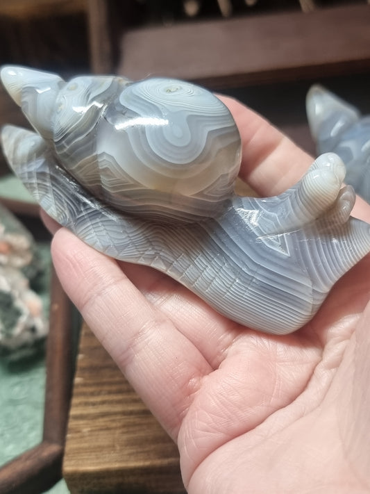 Agate snails