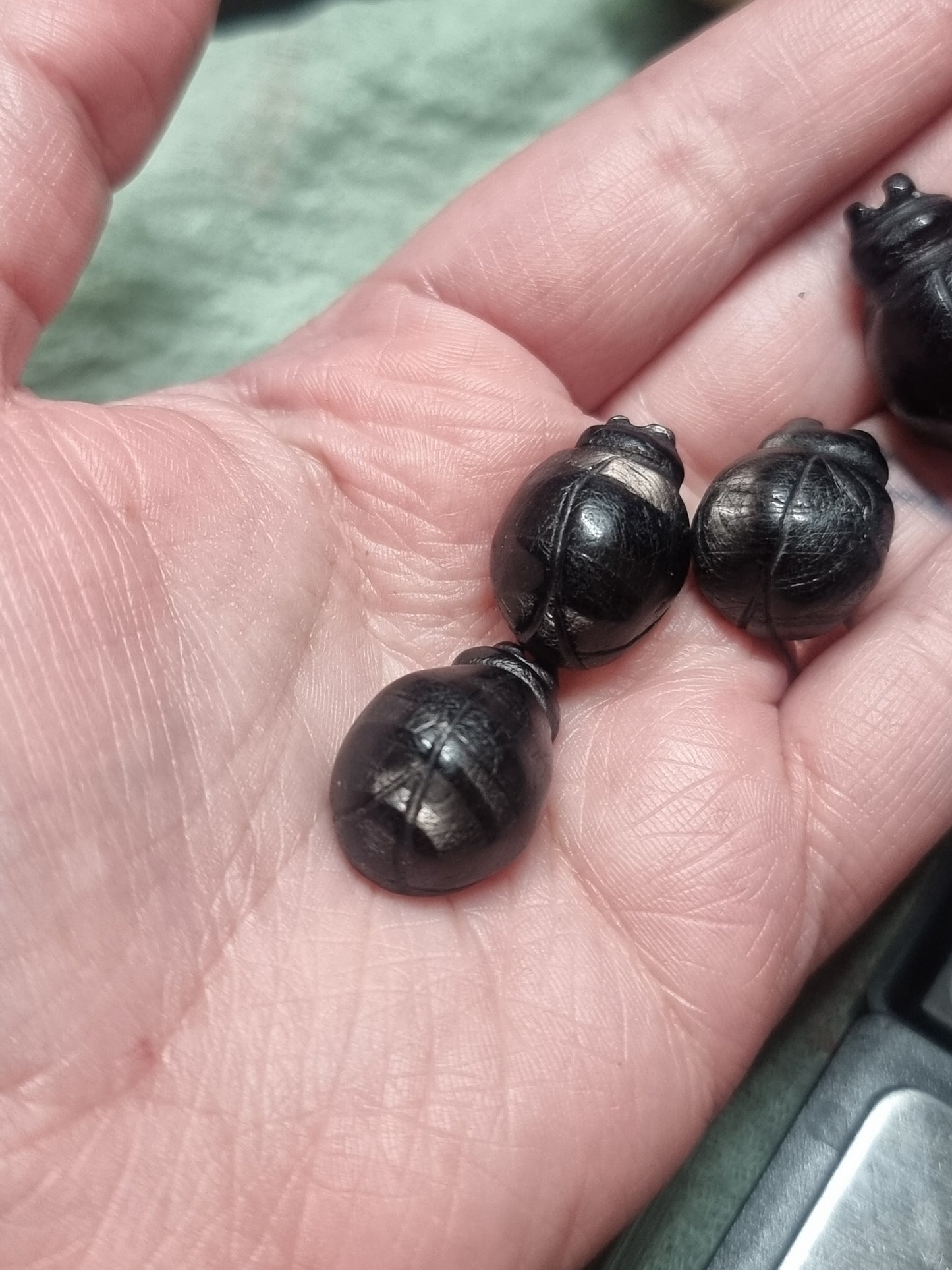 Hypersthene beetles