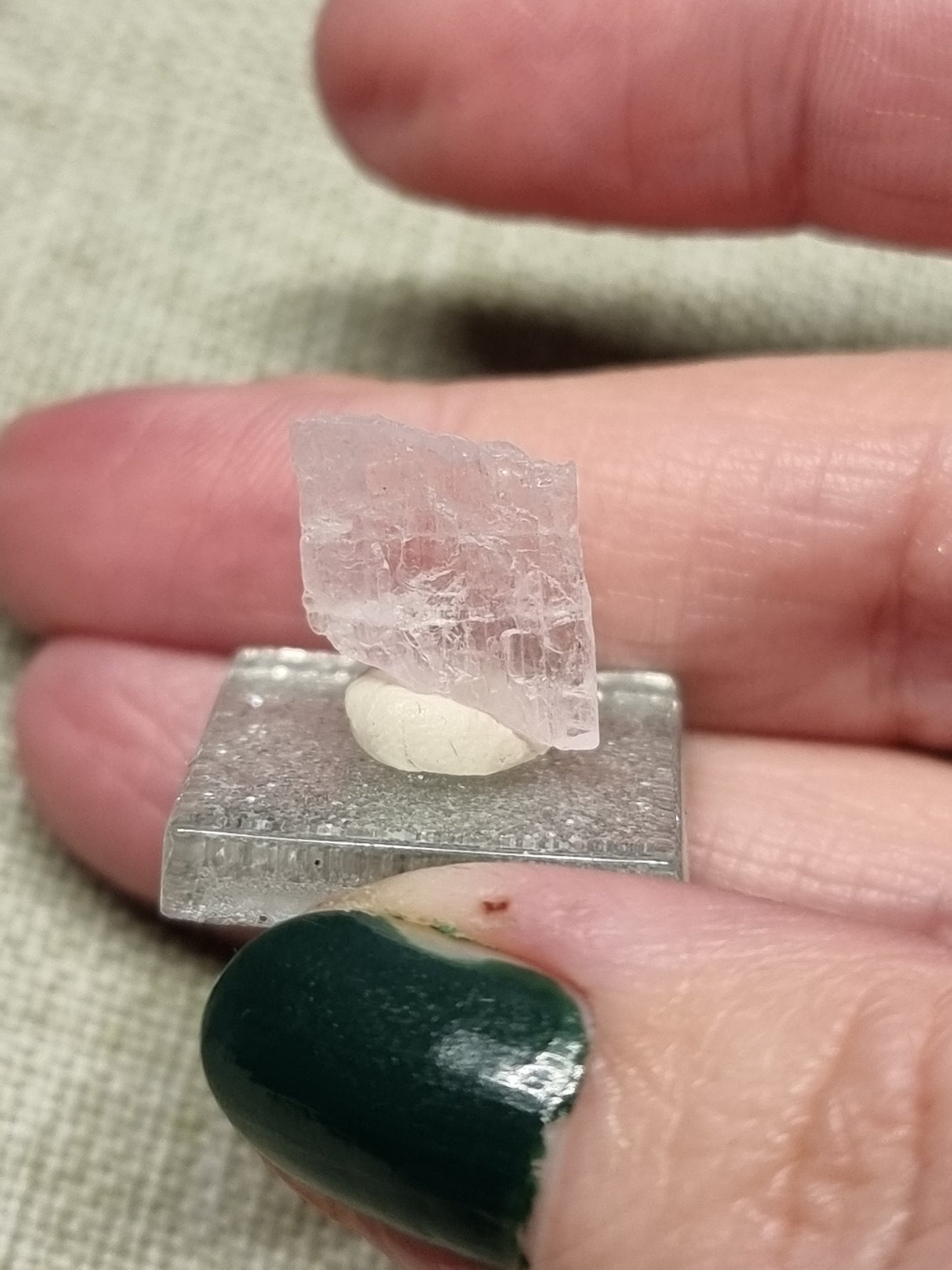 Gem kunzite specimens