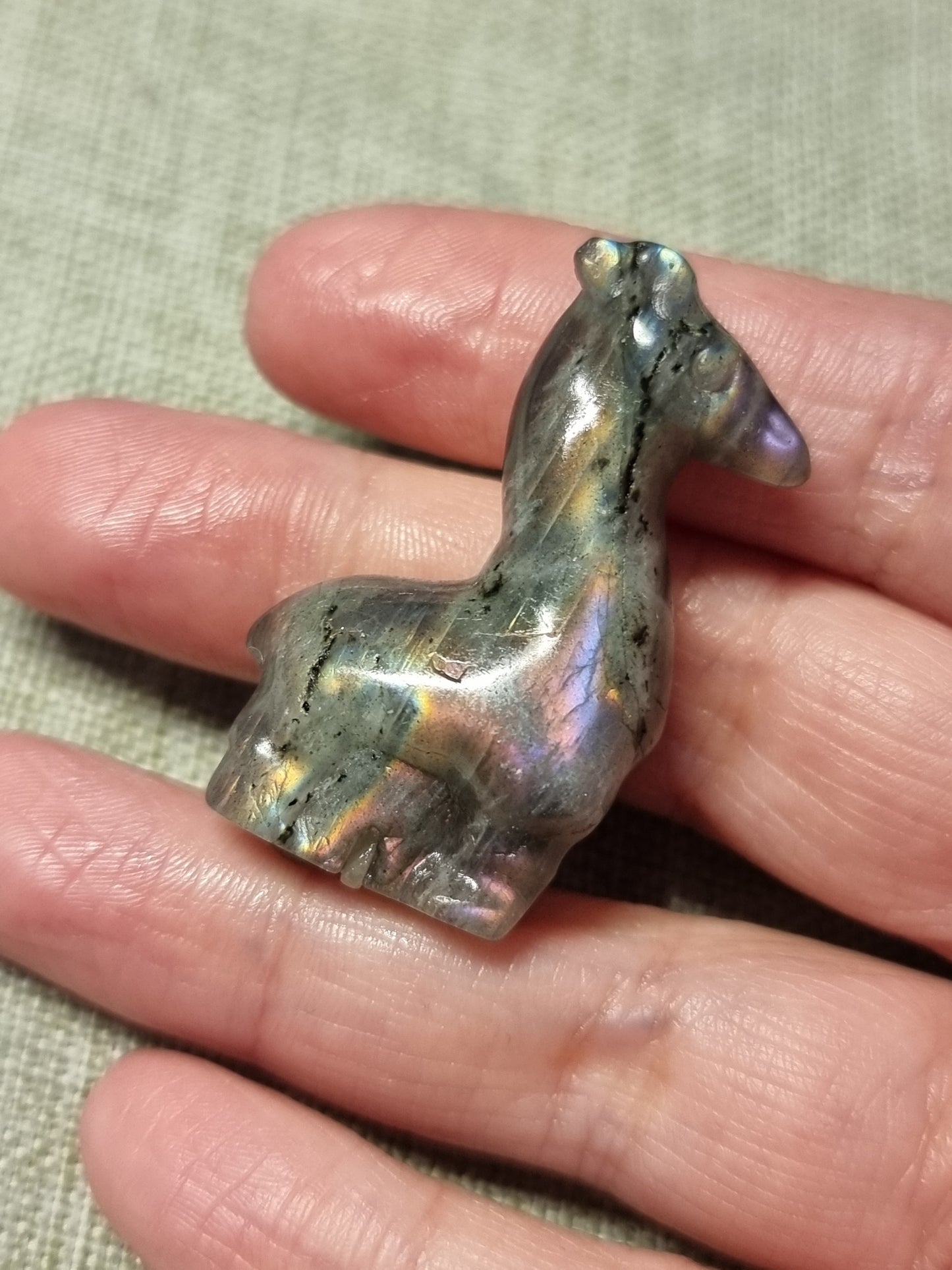 Giraffe carvings