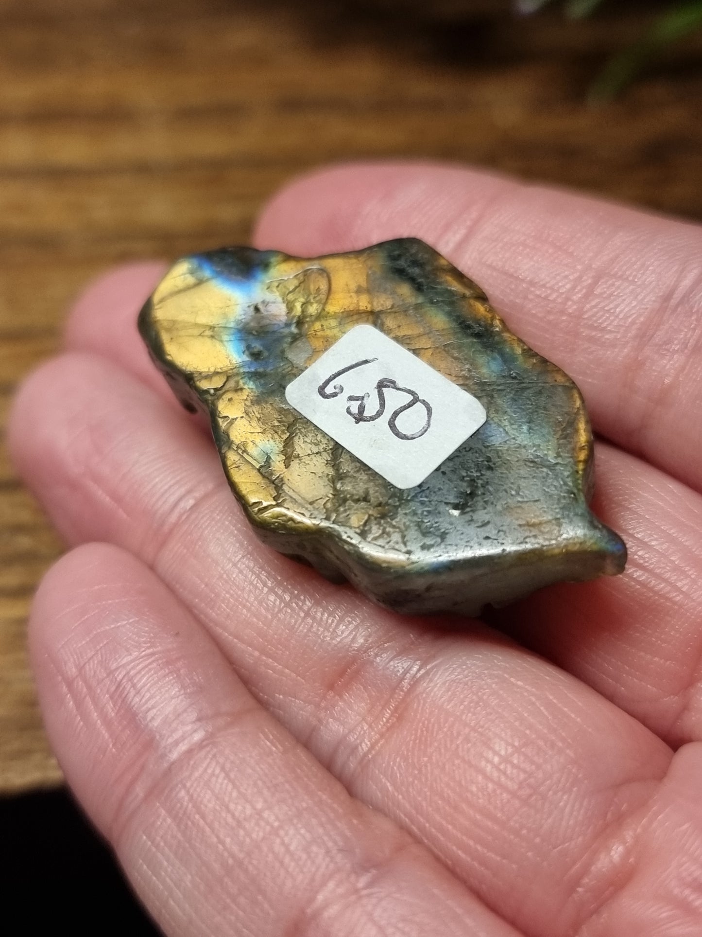 Labradorite goldfish