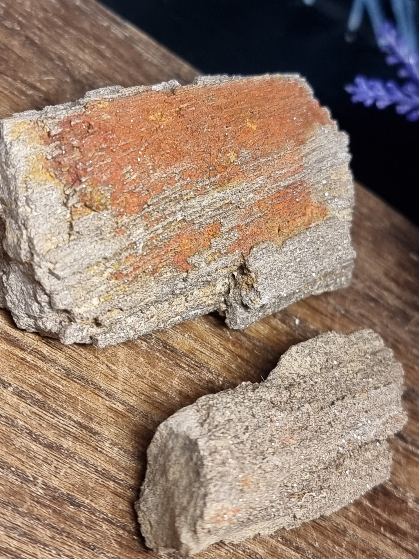 Permineralised wood