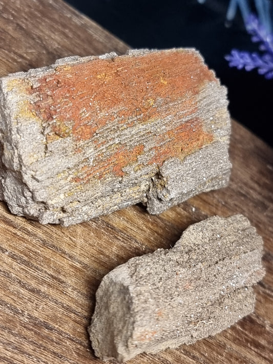 Permineralised wood