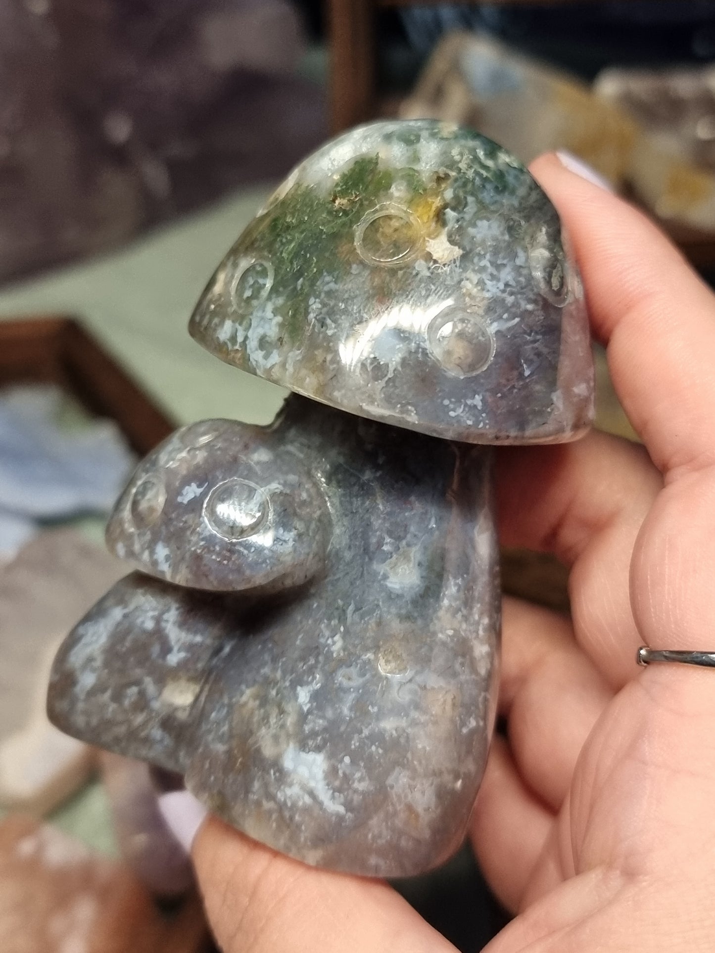 Moss agate mushrooms