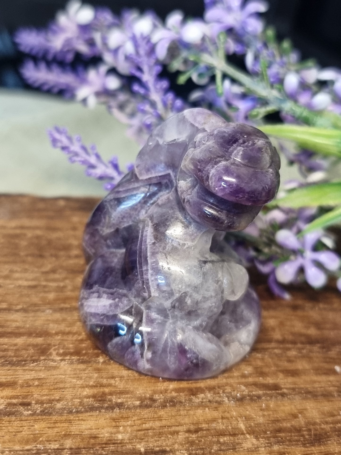 Amethyst Ekans pokemon