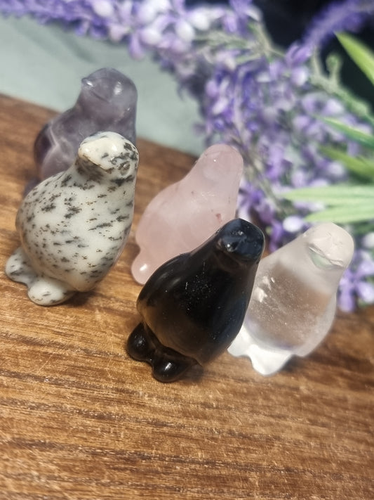 Penguin carvings
