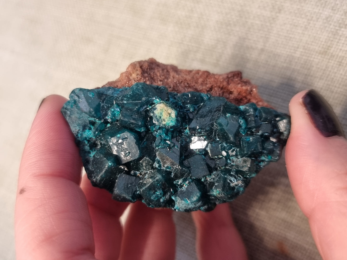 Dioptase specimens