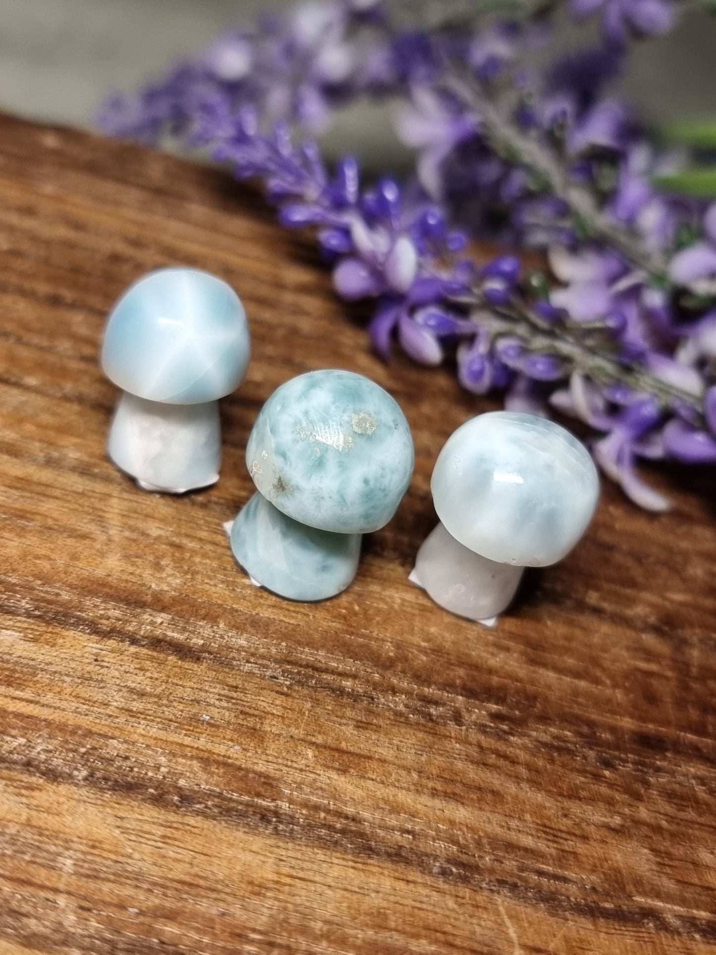 Larimar mushrooms