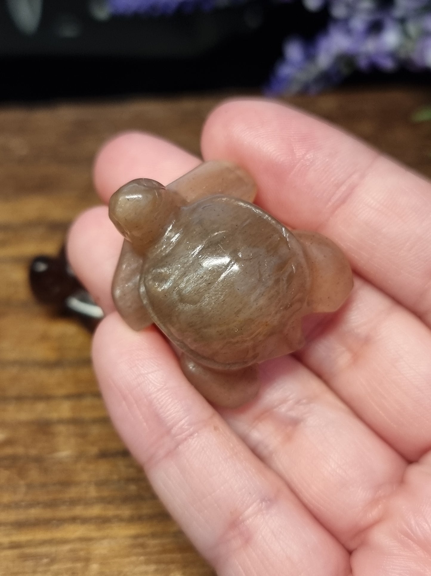 Turtle carvings