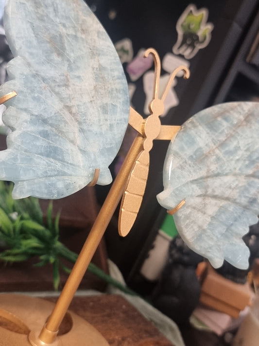 Aquamarine wings
