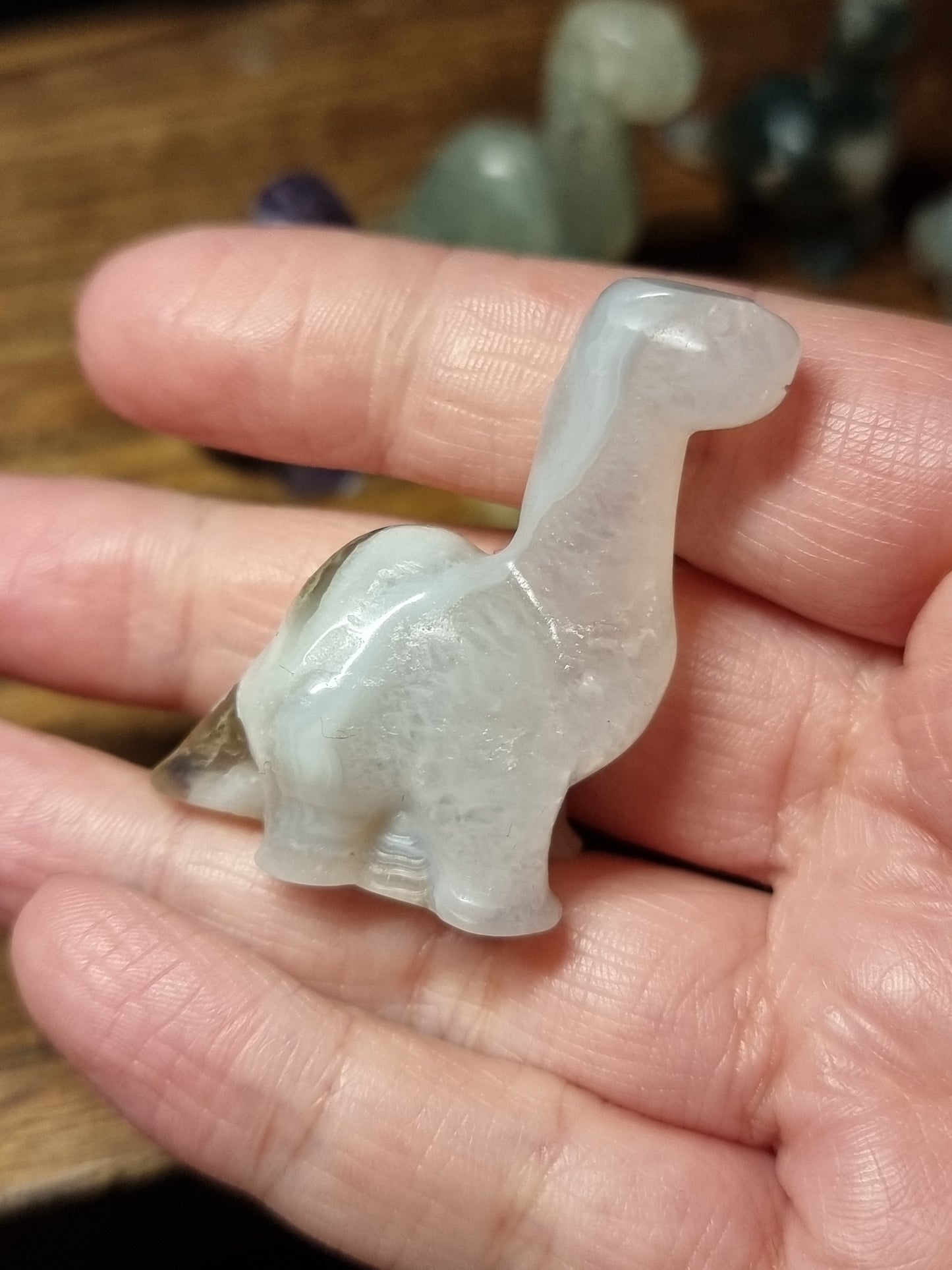 Dinosaur carvings
