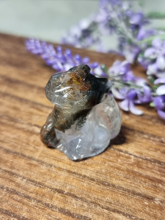 Garden quartz toothless