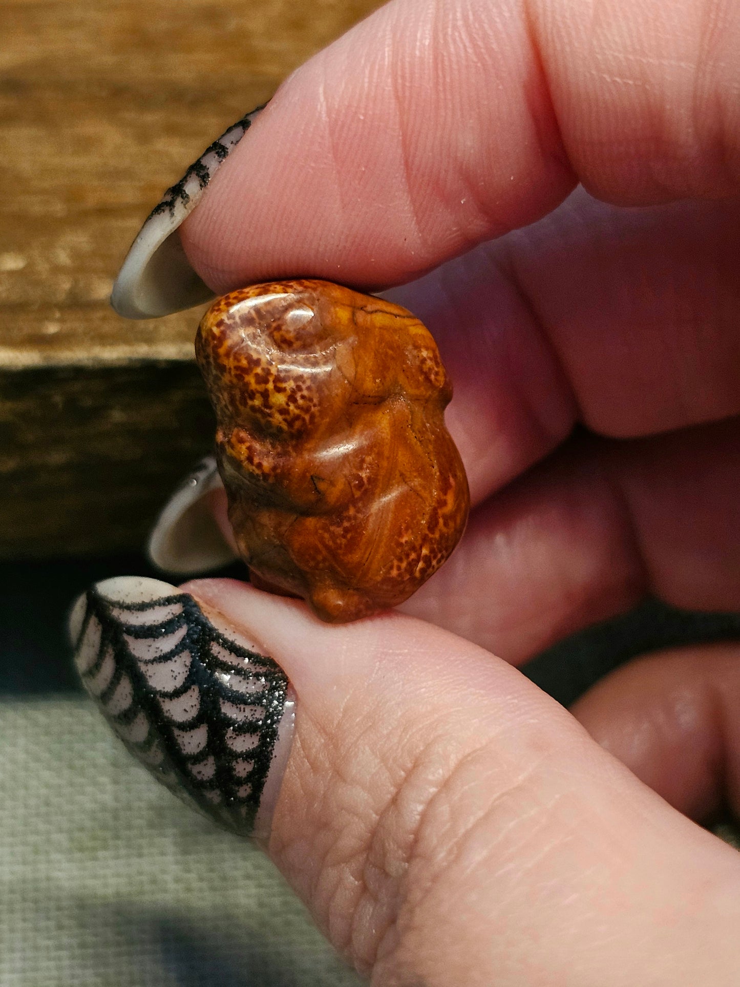 Mini jasper rabbits